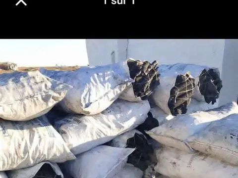 بيع فحم زيتون