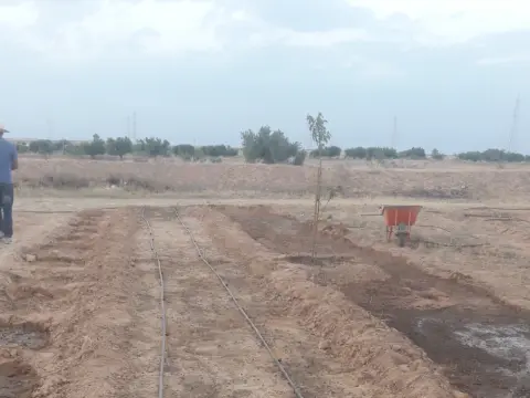 للبيع في قابس