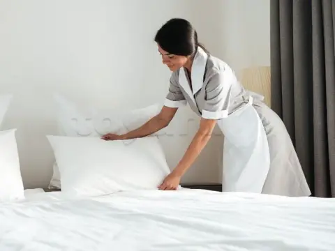 Offre D’emploi