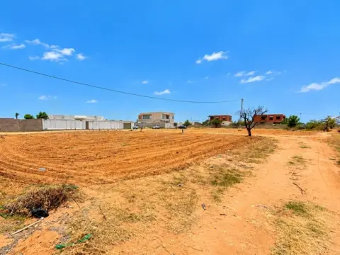 Terrain constructible 800 m² à 3 façades – Route El Ain km 10.5, Sfax