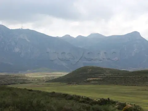 أرض صالحة لإقامة مشروع سياحي أو فلاحي قبالة جبل زغوان وعلى مقربة من معبد المياه