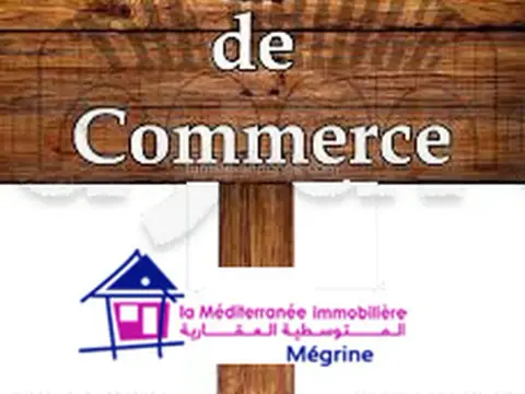 local à Megrine coteau 29976068