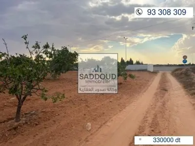 Terrain 3 688 m² à vendre – Route Gabès Km 17 (الغربية)
