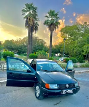 Polo 3