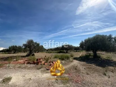 A Vendre Terrain 1000m² Vue Sur Mer à Besbassia Hammamet Sud