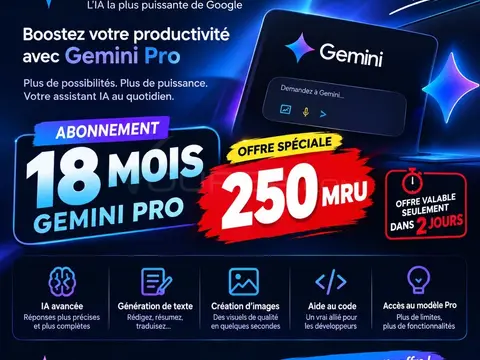 gemini pro 18mois