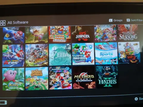 Nintendo switch cracke