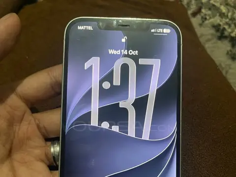 Pro max12