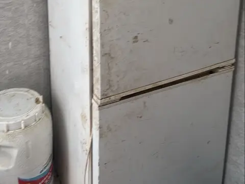 ثلاجة أصلية
