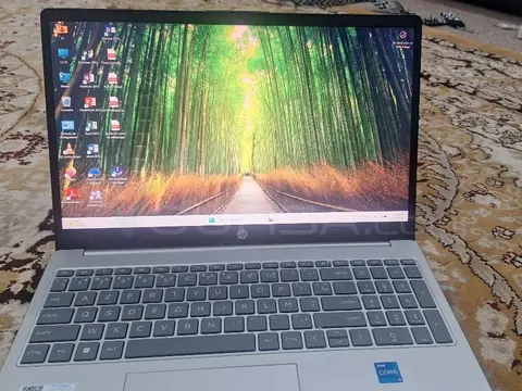 اورديناتير hp