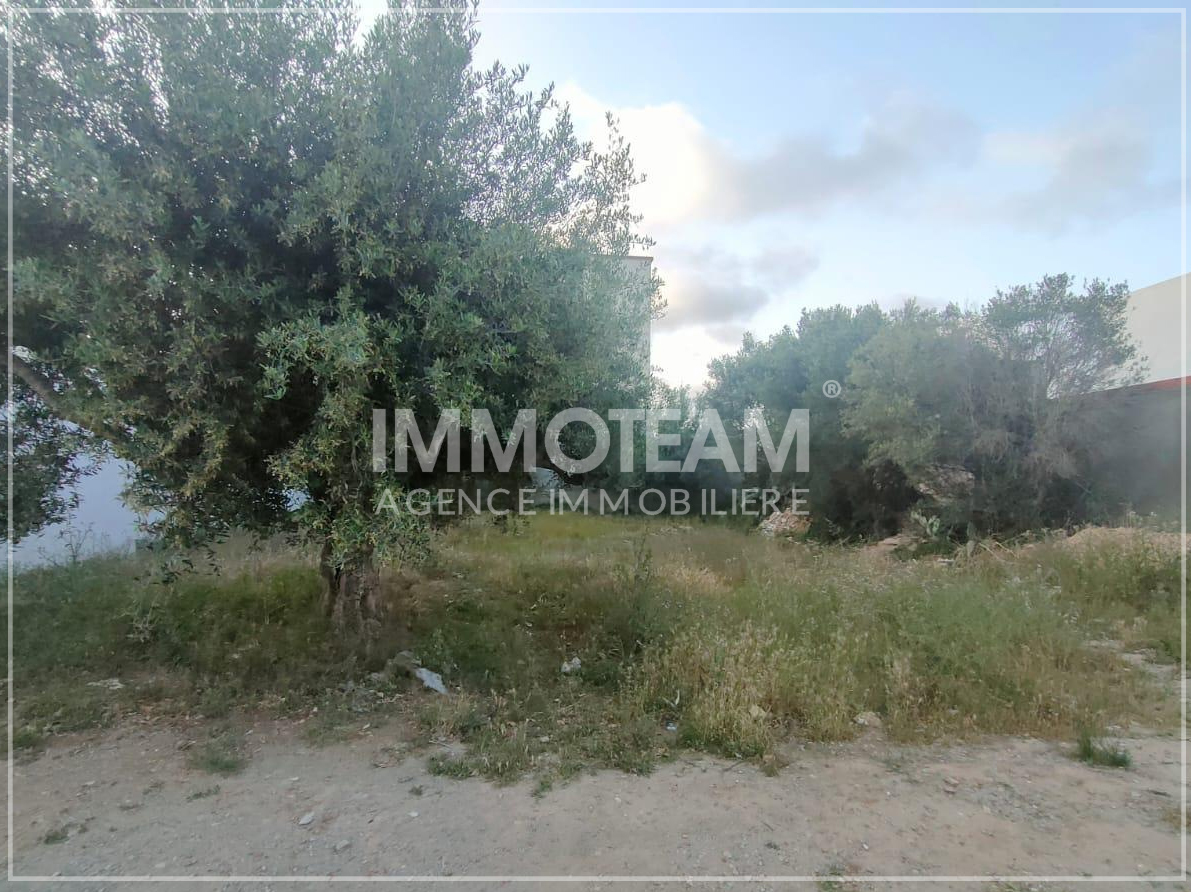 𝘼 𝙑𝙀𝙉𝘿𝙍𝙀 Terrain situé à Mrezga à mrezga — photo 2