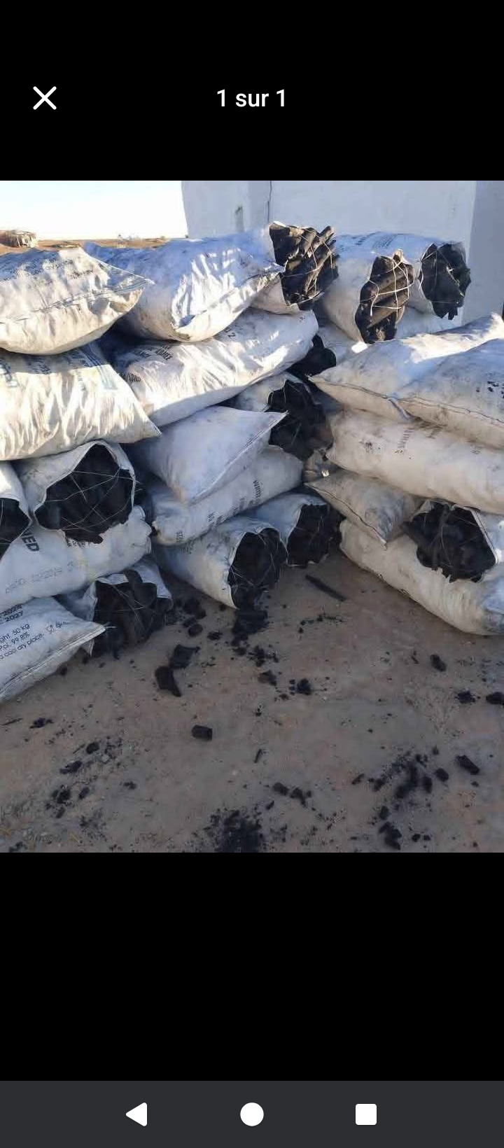 بيع فحم زيتون à Nabeul — photo 1