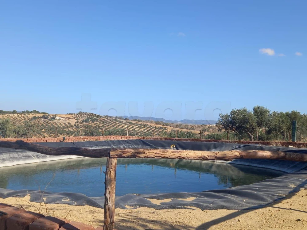 Terrain Agricole Zaghouan à Zaghouen, Zaghouan — photo 2