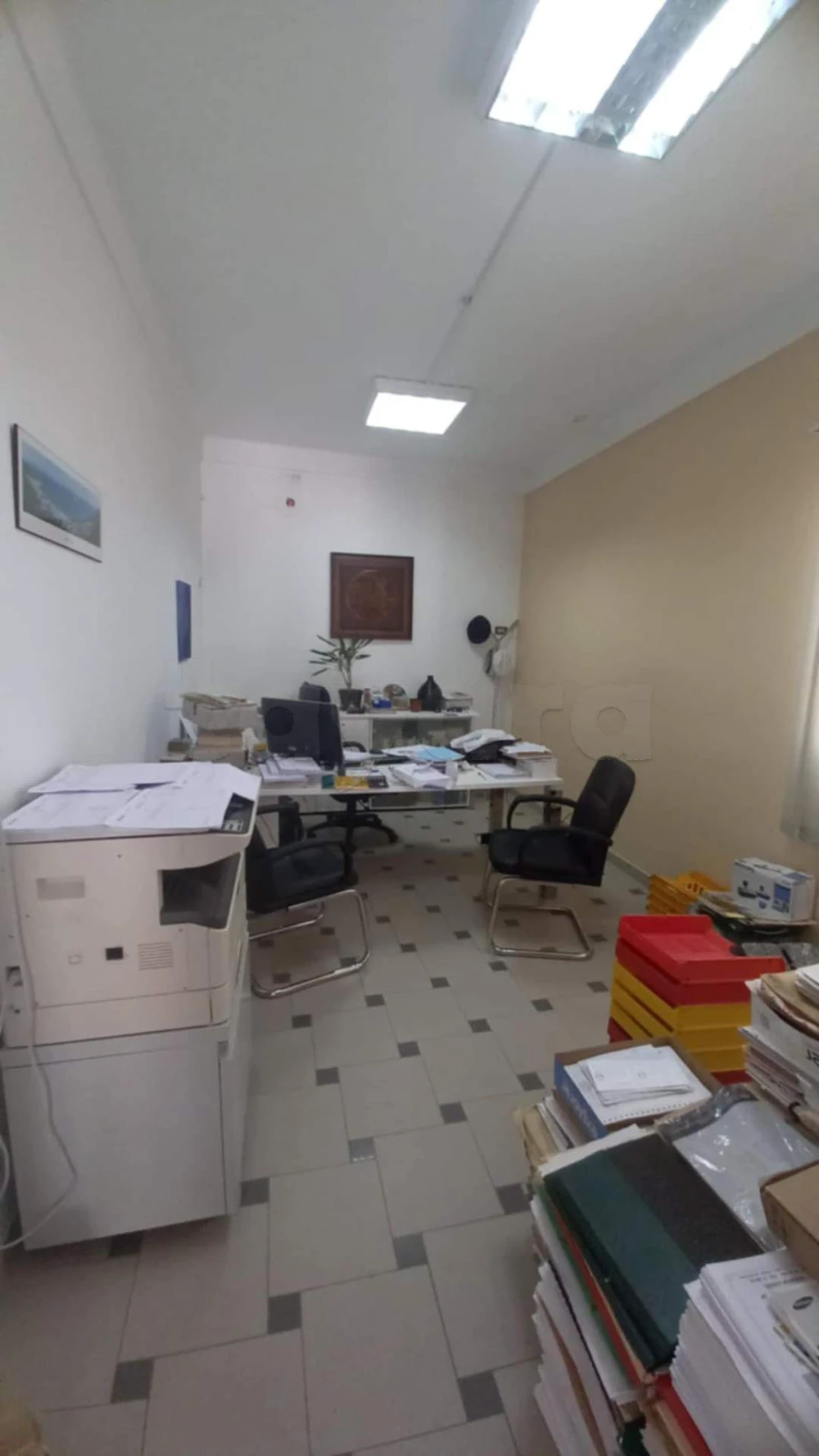 AL Bureau rdc villa Menzeh4 très bon emplacement 1200dt à Tunis, Tunis — photo 4