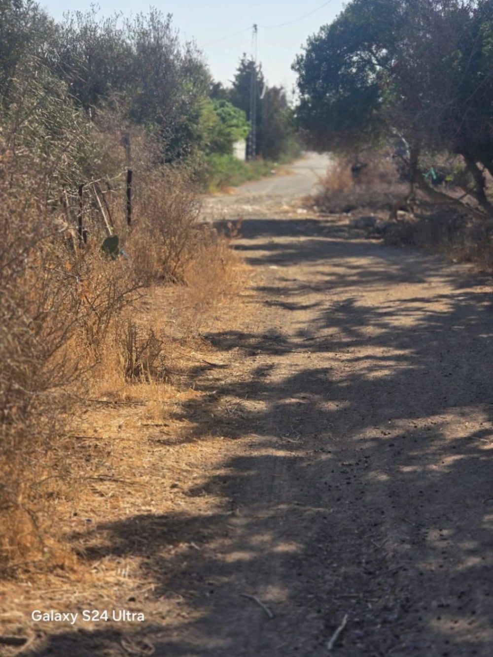 فرصة استثمارية مميزة – سبالة بن عمار à Sidi Thabet, Ariana — photo 4