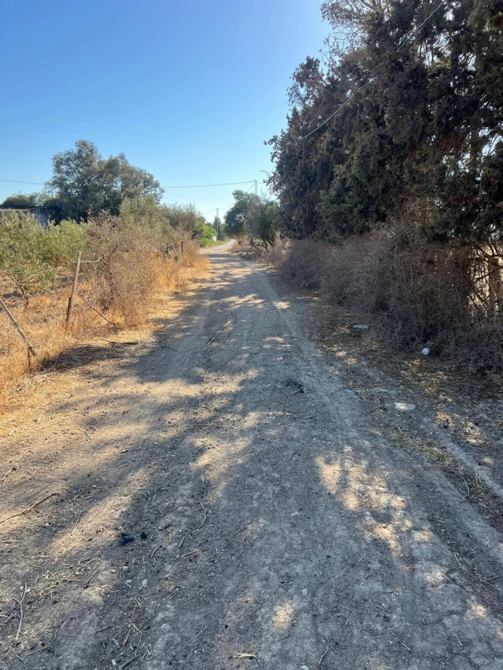 فرصة استثمارية مميزة – سبالة بن عمار à Sidi Thabet, Ariana — photo 5