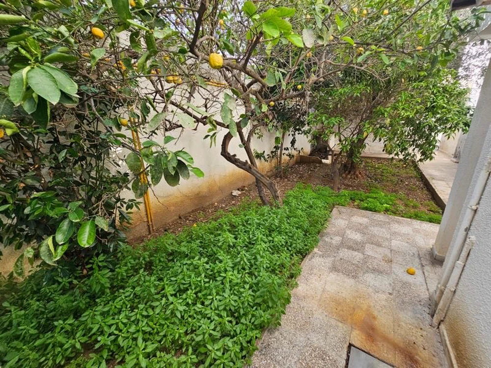 MUTUELLE VILLE : VILLA SUR DEUX NIVEAUX S+8 AVEC POTENTIEL À VENDRE à Mutuelleville, Tunis — photo 4
