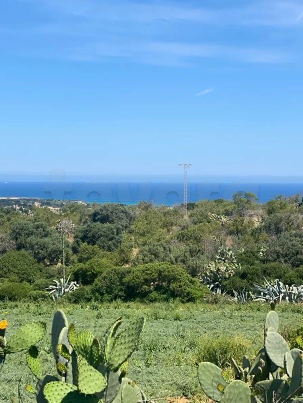 ارض للبيع في صونين رفراف à Ras Jebel, Bizerte — photo 1