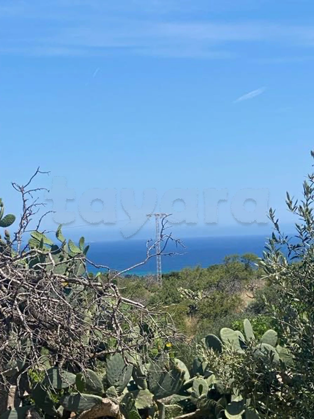 ارض للبيع في صونين رفراف à Ras Jebel, Bizerte — photo 5