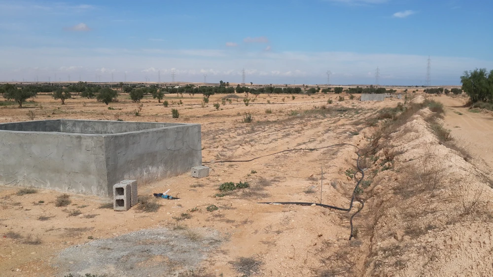 للبيع في قابس à Gabès Sud, Gabès — photo 4