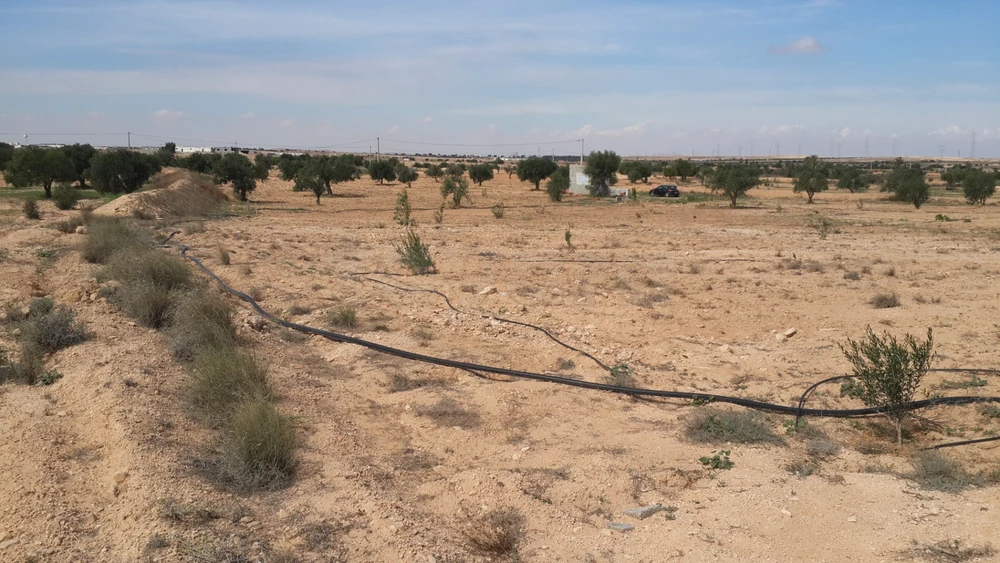 للبيع في قابس à Gabès Sud, Gabès — photo 5