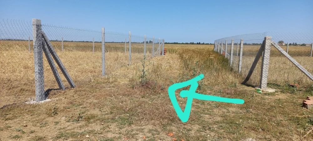 A vendre une Terre titre bleu à Utique, Bizerte — photo 1