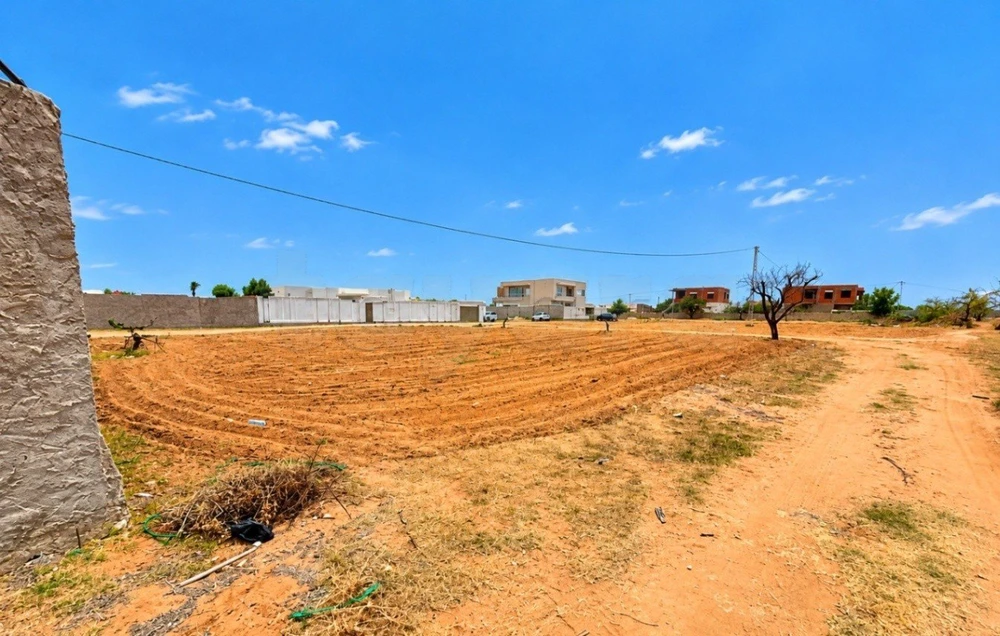 Terrain constructible 800 m² à 3 façades – Route El Ain km 10.5, Sfax à Route El Ain, Sfax — photo 1