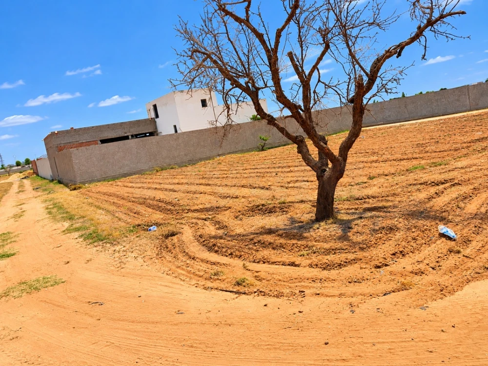Terrain constructible 800 m² à 3 façades – Route El Ain km 10.5, Sfax à Route El Ain, Sfax — photo 5