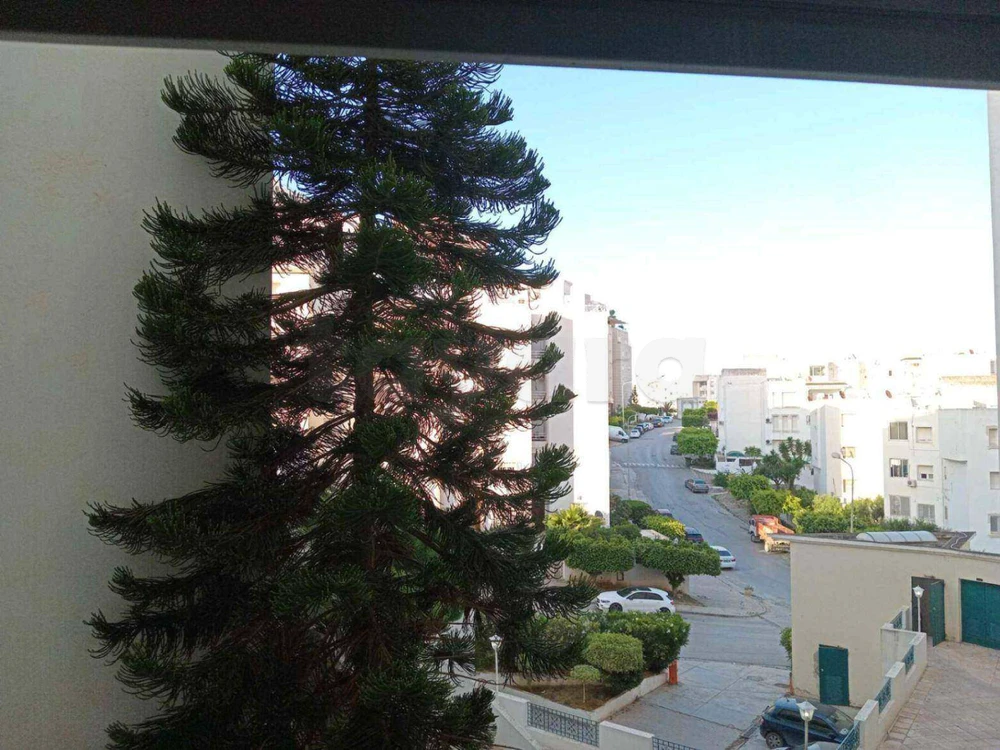 Ennasr 2 Agréable S+1 Meublé avec place Parking – Résidence Sécurisée à Cité Ennasr 2, Ariana — photo 4