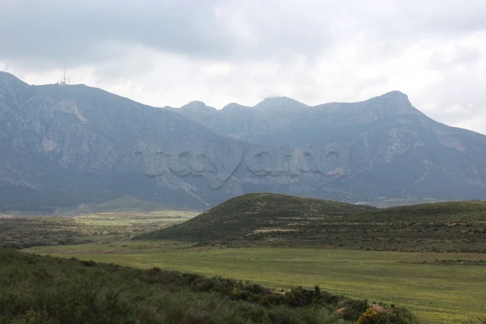 أرض صالحة لإقامة مشروع سياحي أو فلاحي قبالة جبل زغوان وعلى مقربة من معبد المياه à Zaghouan, Zaghouan — photo 1
