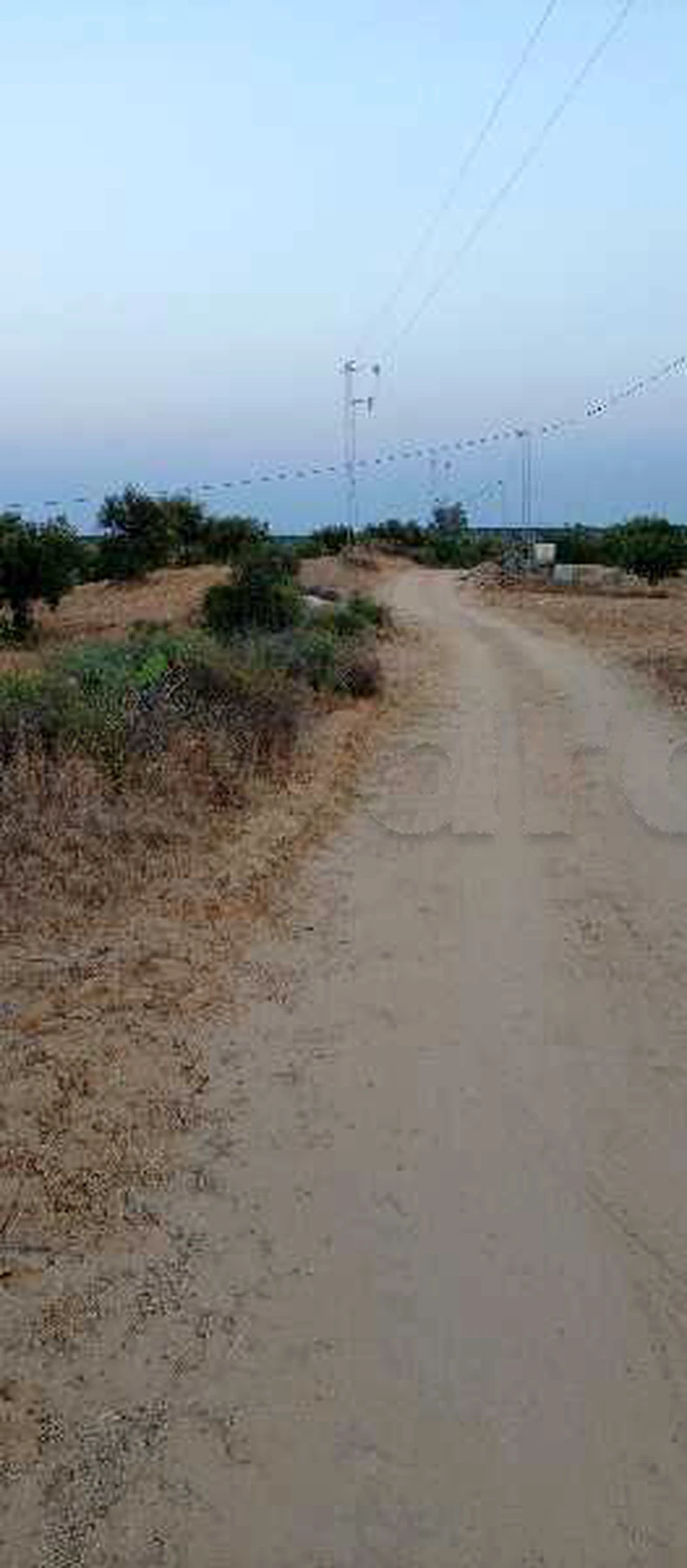 غرس بتاع كيف à Zéramdine, Monastir — photo 3
