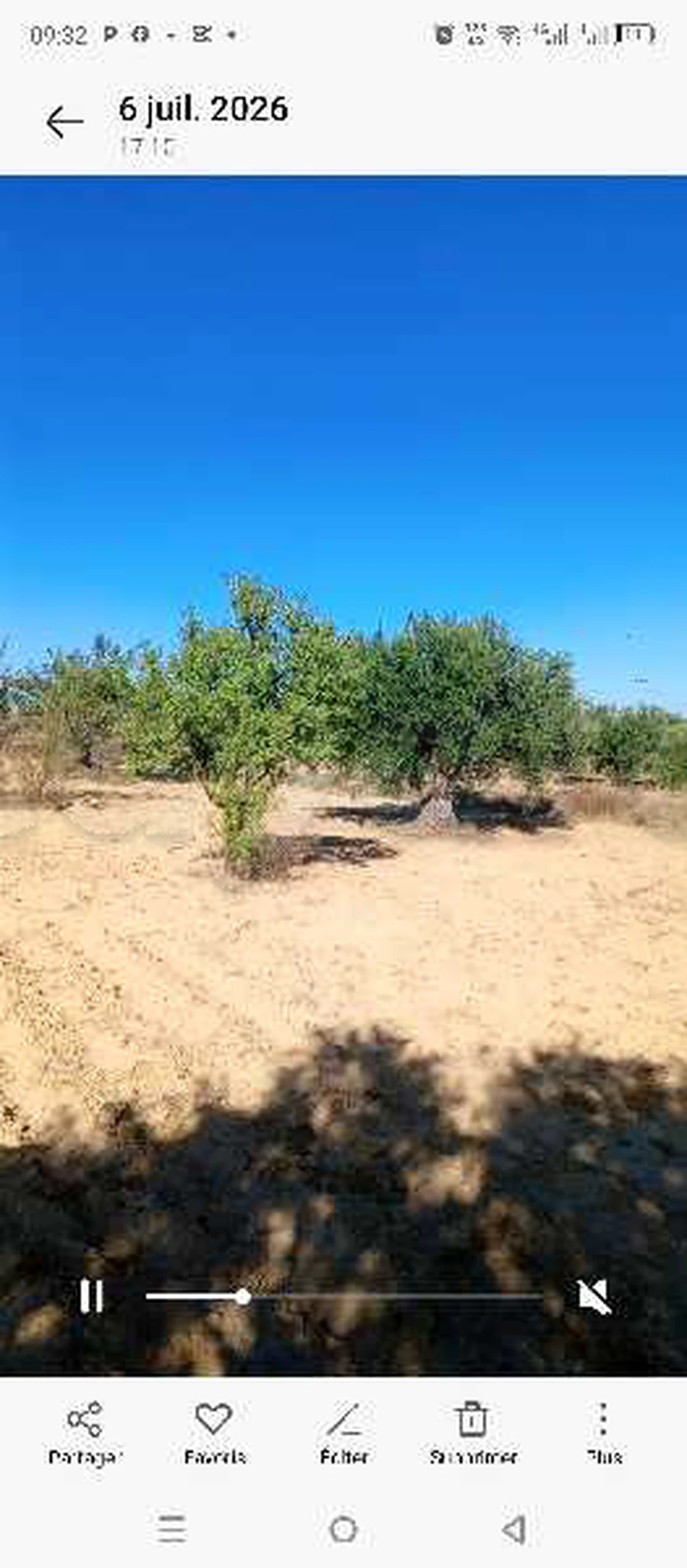 غرس بتاع كيف à Zéramdine, Monastir — photo 5