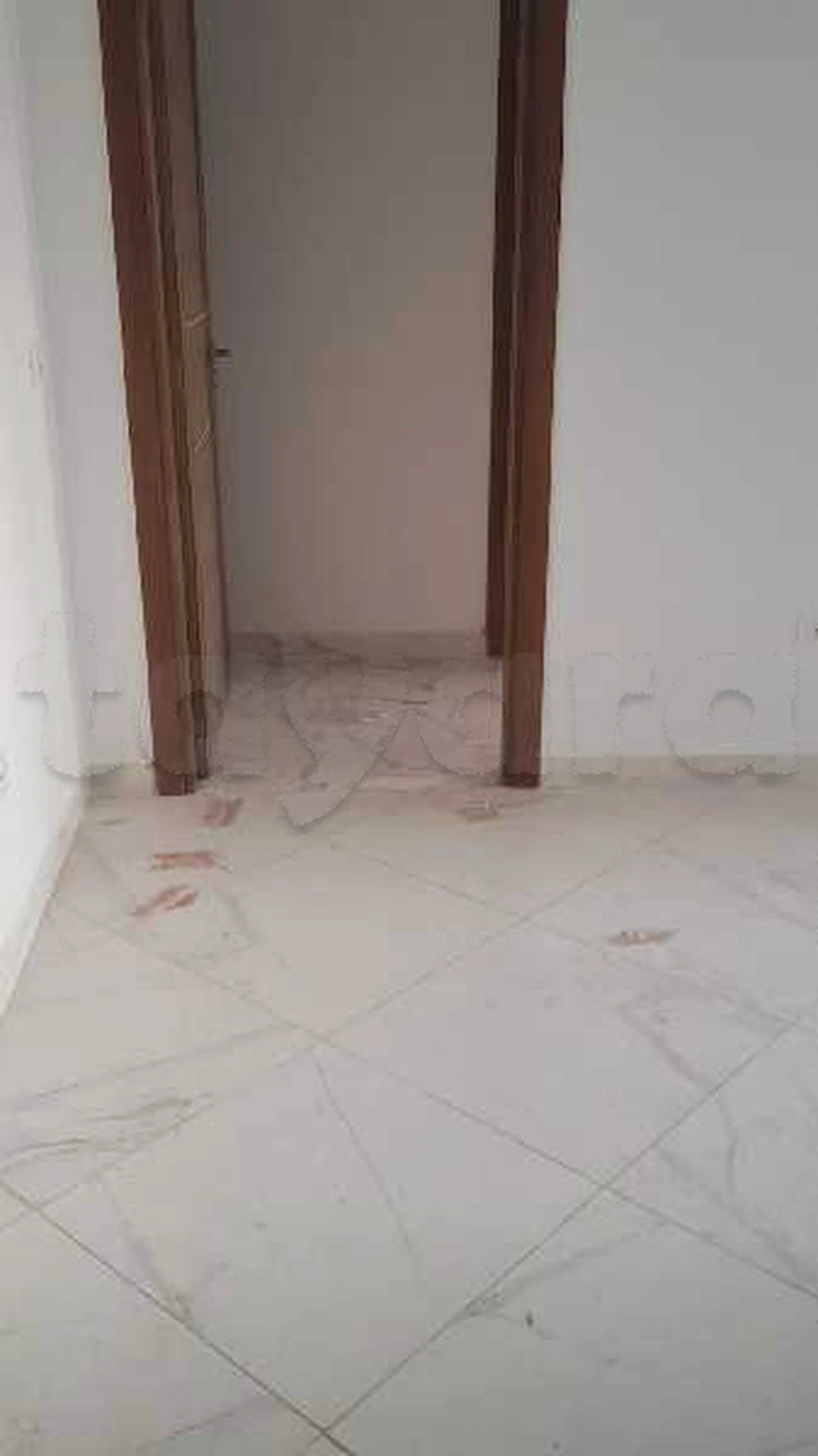 A louer Appartement S+2 à Ghazela, Ariana — photo 1