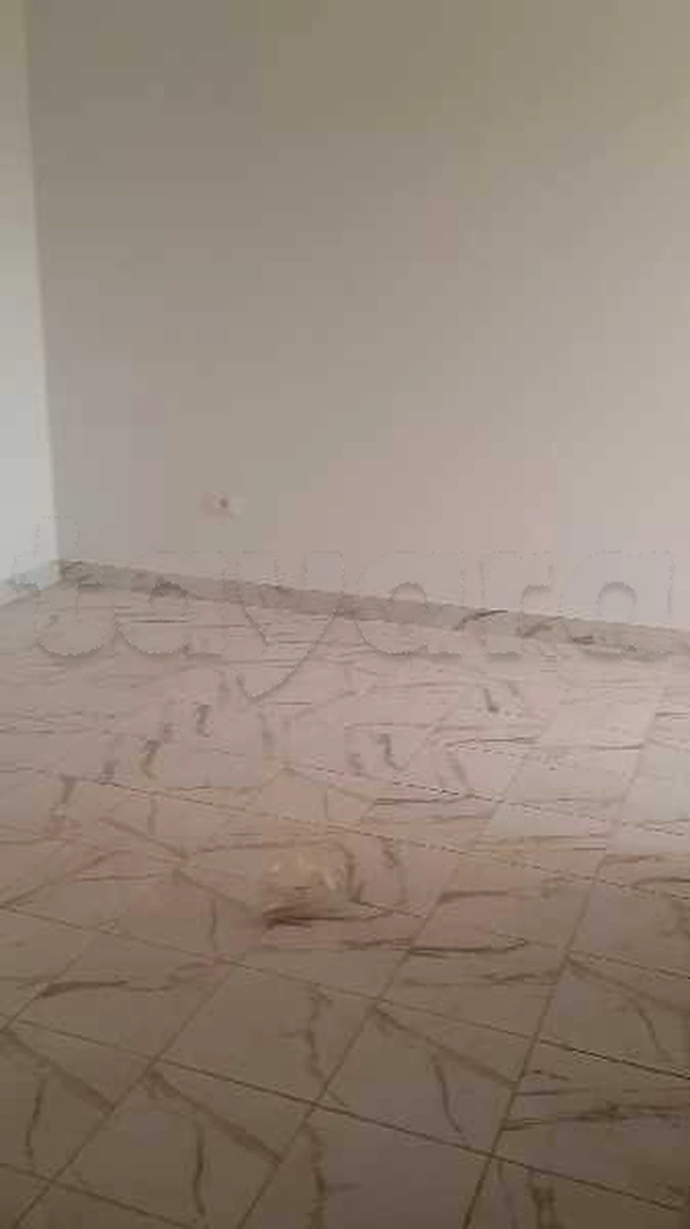 A louer Appartement S+2 à Ghazela, Ariana — photo 4