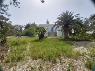 A ZAGHOUAN SEMINJA : OPPORTUNITÉ RARE – FERME AVEC MAISON COLONIALE SUR 18 000 m² à Zaghouan — photo 1