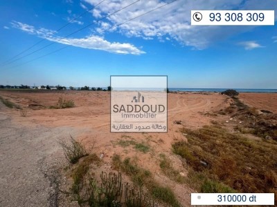 Terrain 2483 m² à vendre – Route Gabès Km 16,5 à Sfax — photo 1