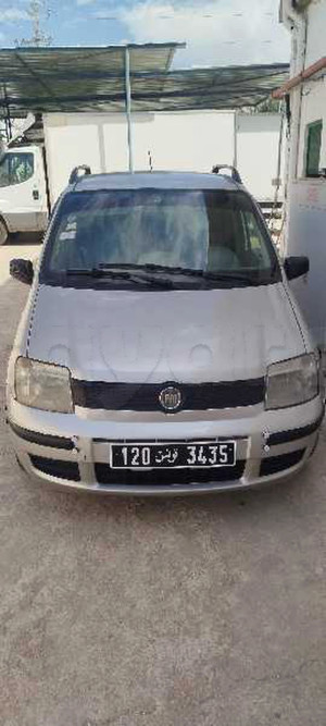 belle panda à El Kef — photo 1