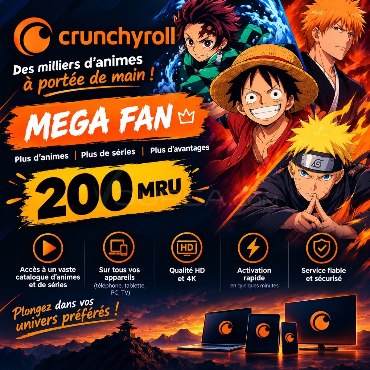 Crunchyroll Mega Fun 1 mois à Tevragh Zeina — photo 1