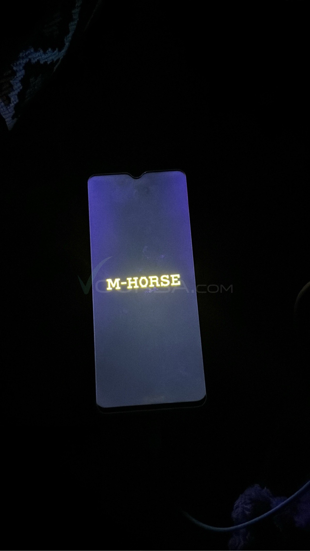 M.HORSE à Tevragh Zeina — photo 1