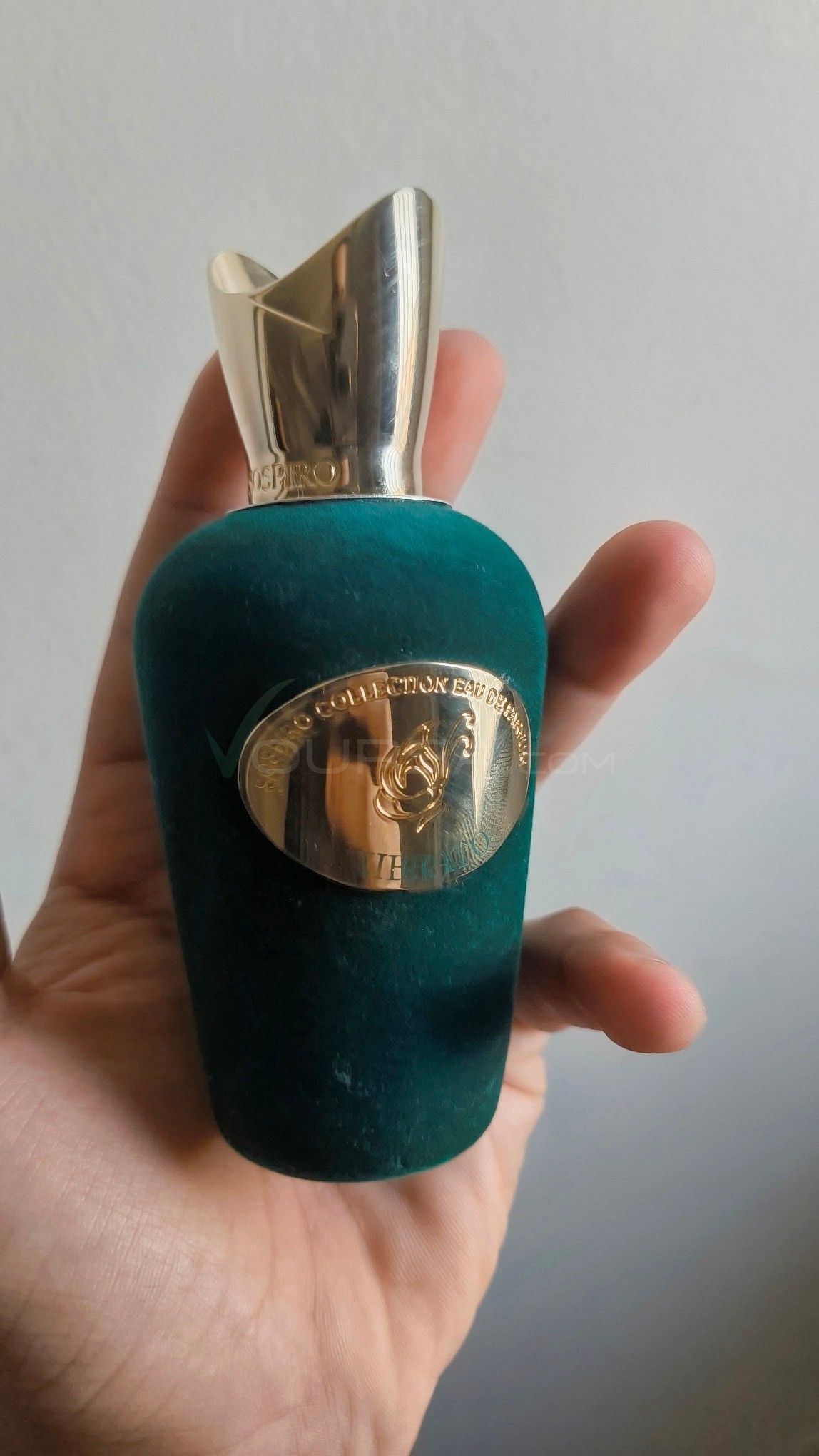Sospiro Vibrato à Tevragh Zeina — photo 1